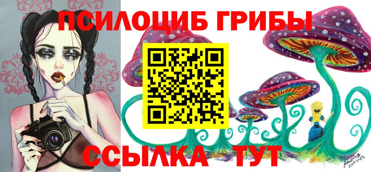Псилоцибиновые грибы Psilocybe Таганрог