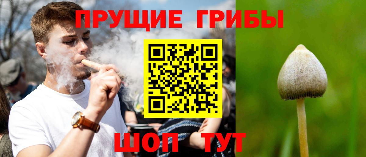 Псилоцибиновые грибы мицелий  Вход с VPN  Псилоцибиновые грибы Psilocybine cubensis  Таганрог 